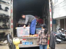 供應 東四環搬家拉貨 東四環搬家價格便宜 兄弟順心搬家 豐臺區 星宇泉制造網